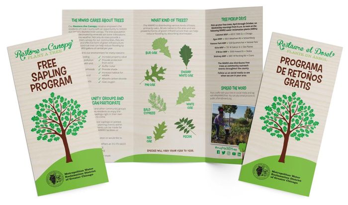 Restore the Canopy, Plant a Tree